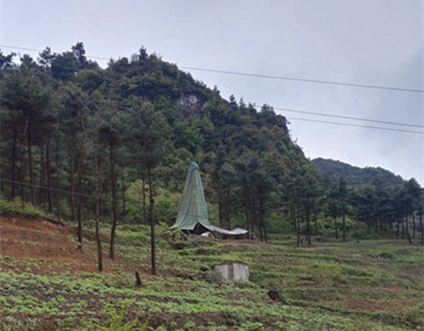 把脈“黔”鋅地，問診開良方