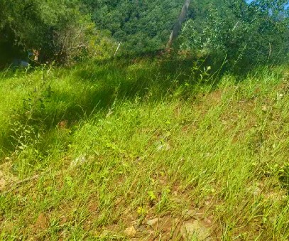 柳關(guān)欒盧鉛鋅礦|治理排土“瘡疤”，繪就綠色畫卷